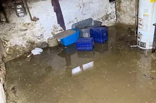 4466 N Gratz St, Philadelphia, PA 19140 - Photo 11