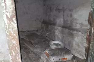 1757 Saint Pauls St, Philadelphia, PA 19140 - Photo 39