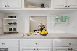 112 W Gravers Ln, Philadelphia, PA 19118 - Photo 9