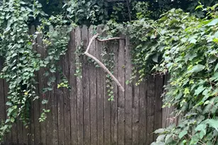 1539 W Tucker St, Philadelphia, PA 19132 - Photo 15