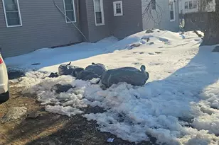 4805 Van Kirk St, Philadelphia, PA 19135 - Photo 9