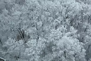 3600 Conshohocken Ave, Philadelphia, PA 19131 - Photo 13