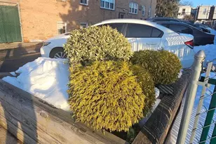 6007 Bingham St, Philadelphia, PA 19111 - Photo 29