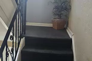 6007 Bingham St, Philadelphia, PA 19111 - Photo 21