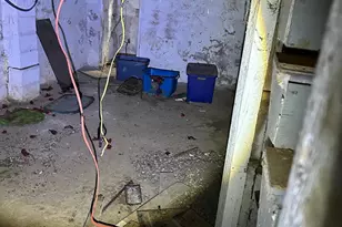 3323 Mutter St, Philadelphia, PA 19140 - Photo 11