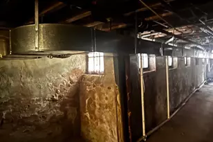 6015 Catharine St, Philadelphia, PA 19143 - Photo 23