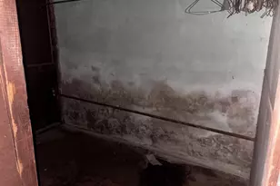 6015 Catharine St, Philadelphia, PA 19143 - Photo 27