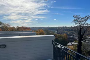 263 Hermitage St, Philadelphia, PA 19127 - Photo 53