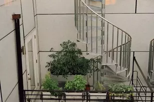 1815 Wylie St, Philadelphia, PA 19130 - Photo 23