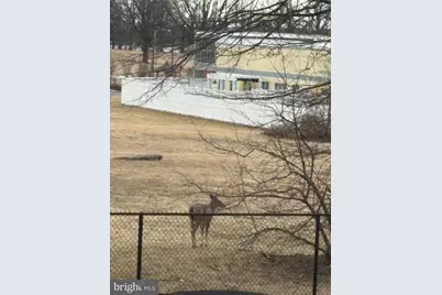 8836 Cottage Street, Philadelphia, PA 19136 - Photo 35