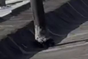 1326 S 8th St, Philadelphia, PA 19147 - Photo 11