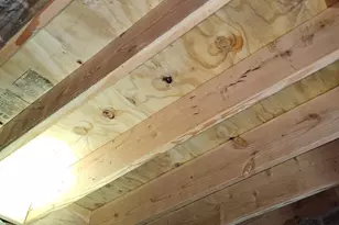 1325 W Roosevelt Blvd, Philadelphia, PA 19140 - Photo 11