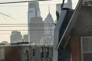 3121 Cecil B. Moore Ave, Philadelphia, PA 19121 - Photo 41