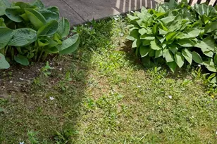 4341 Germantown Ave, Philadelphia, PA 19140 - Photo 19