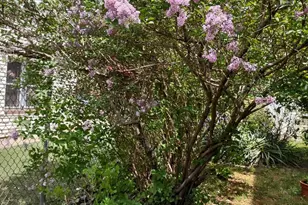 4341 Germantown Ave, Philadelphia, PA 19140 - Photo 21