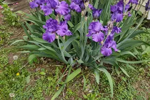 4341 Germantown Ave, Philadelphia, PA 19140 - Photo 25