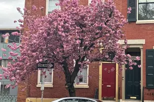 1422 Lombard St, Philadelphia, PA 19146 - Photo 5