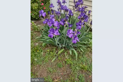 4341 Germantown Avenue, Philadelphia, PA 19140 - Photo 25