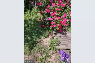 4341 Germantown Avenue, Philadelphia, PA 19140 - Photo 23