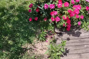 4341 Germantown Ave, Philadelphia, PA 19140 - Photo 23