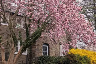 501 E Allens Ln, Philadelphia, PA 19119 - Photo 35