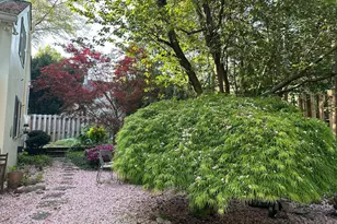 7713 Cherokee St, Philadelphia, PA 19118 - Photo 33