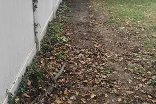 1320 S Broad St, Philadelphia, PA 19146 - Photo 7