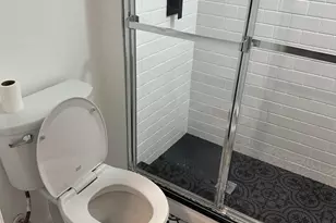 254 W Wellens Ave, Philadelphia, PA 19120 - Photo 5