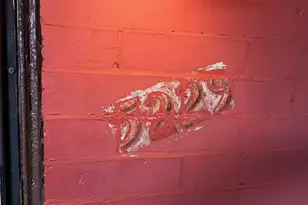 5229 Pulaski Ave, Philadelphia, PA 19144 - Photo 3