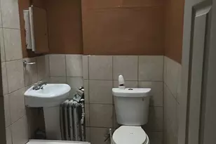 3261 N Philip St, Philadelphia, PA 19140 - Photo 13