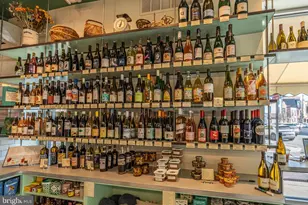 1335 Reed St, Philadelphia, PA 19147 - Photo 69