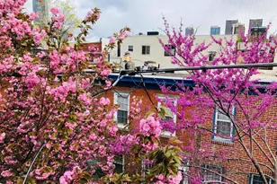 2028 Kater St, Philadelphia, PA 19146 - Photo 23