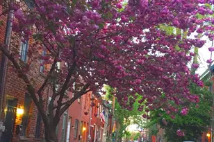 2028 Kater St, Philadelphia, PA 19146 - Photo 41