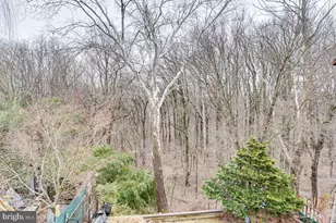 8422 Strahle Terrace, Philadelphia, PA 19111 - Photo 39