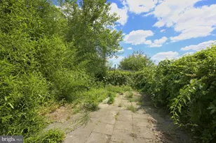 219 Hermitage St, Philadelphia, PA 19127 - Photo 15