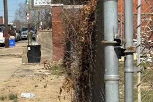 6153 Callowhill St, Philadelphia, PA 19151 - Photo 3