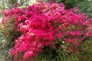 3130 W Penn St, Philadelphia, PA 19129 - Photo 53