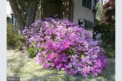 3130 W Penn Street, Philadelphia, PA 19129 - Photo 5