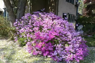 3130 W Penn St, Philadelphia, PA 19129 - Photo 5