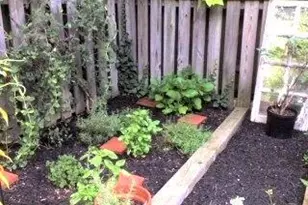 3130 W Penn St, Philadelphia, PA 19129 - Photo 51