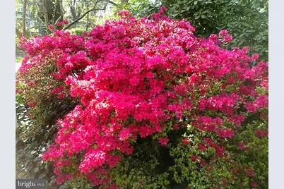 3130 W Penn Street, Philadelphia, PA 19129 - Photo 49