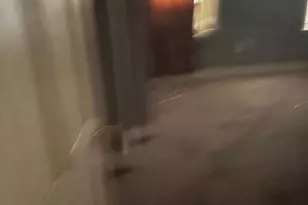 485 E Penn St, Philadelphia, PA 19144 - Photo 5