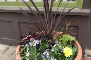 511 S 17th St, Philadelphia, PA 19146 - Photo 13