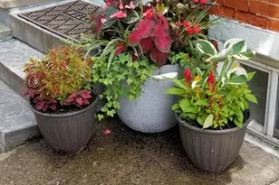 719 N Uber St, Philadelphia, PA 19130 - Photo 9