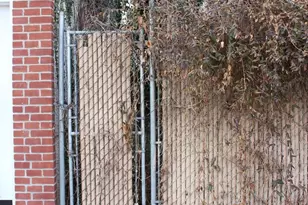 1602 W Thompson St, Philadelphia, PA 19121 - Photo 7