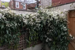 826 Bainbridge St, Philadelphia, PA 19147 - Photo 23