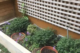 826 Bainbridge St, Philadelphia, PA 19147 - Photo 21