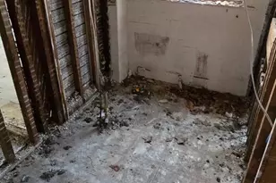 6036 Catharine St, Philadelphia, PA 19143 - Photo 17