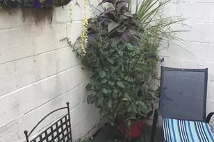 1610 Swain St, Philadelphia, PA 19130 - Photo 13