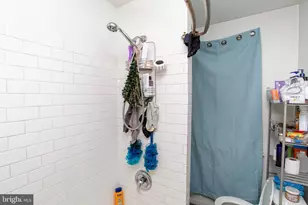 6610 Tulip St, Philadelphia, PA 19135 - Photo 23